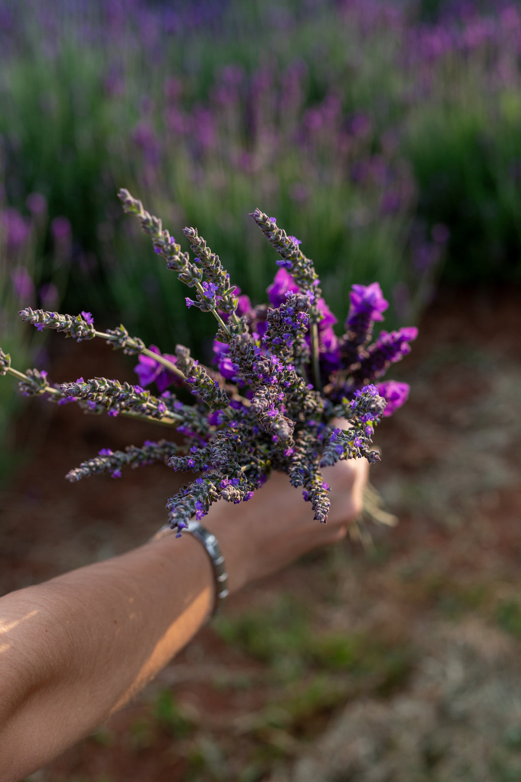Flower picking