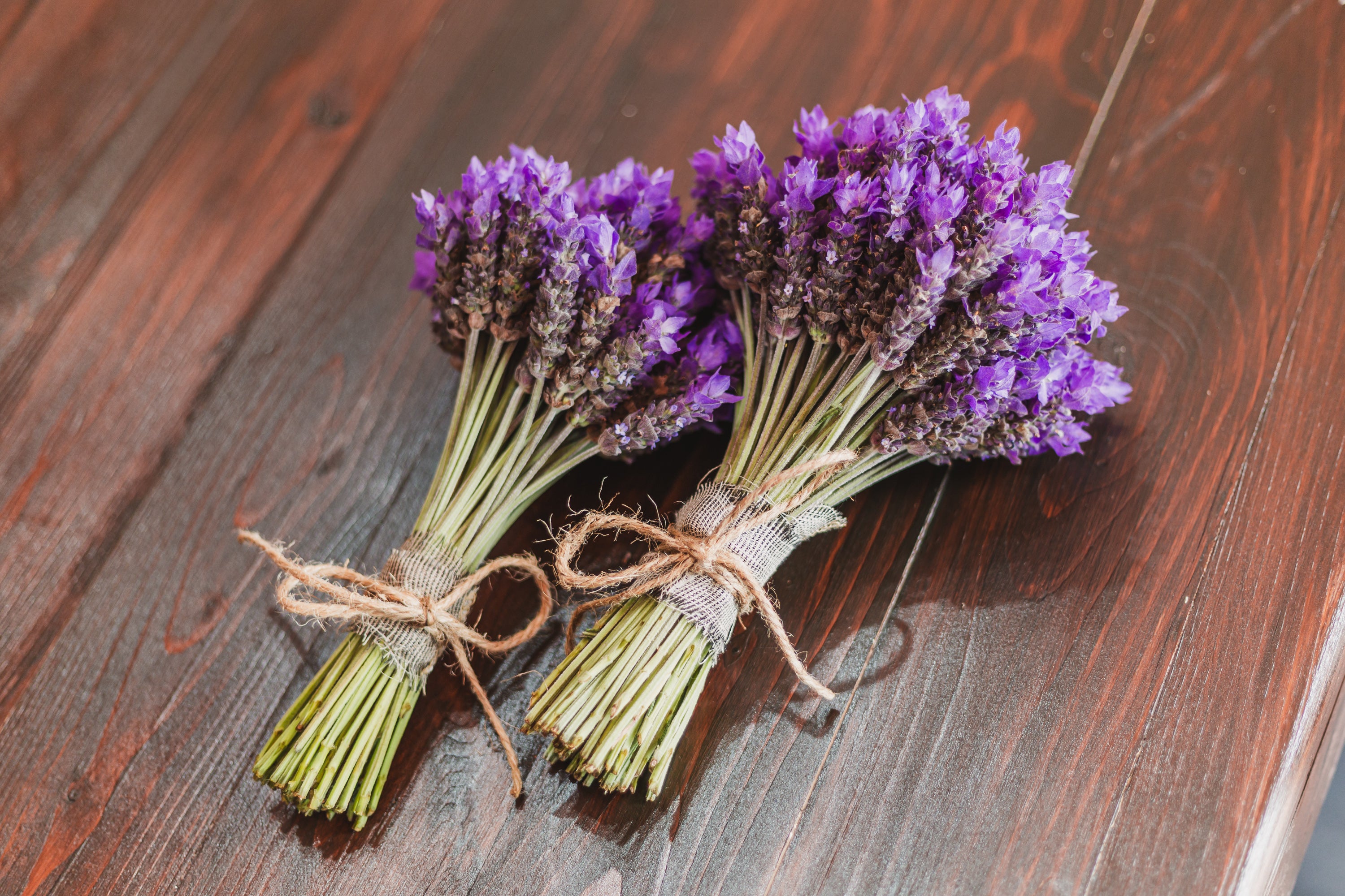 Fresh Lavender Bouguets