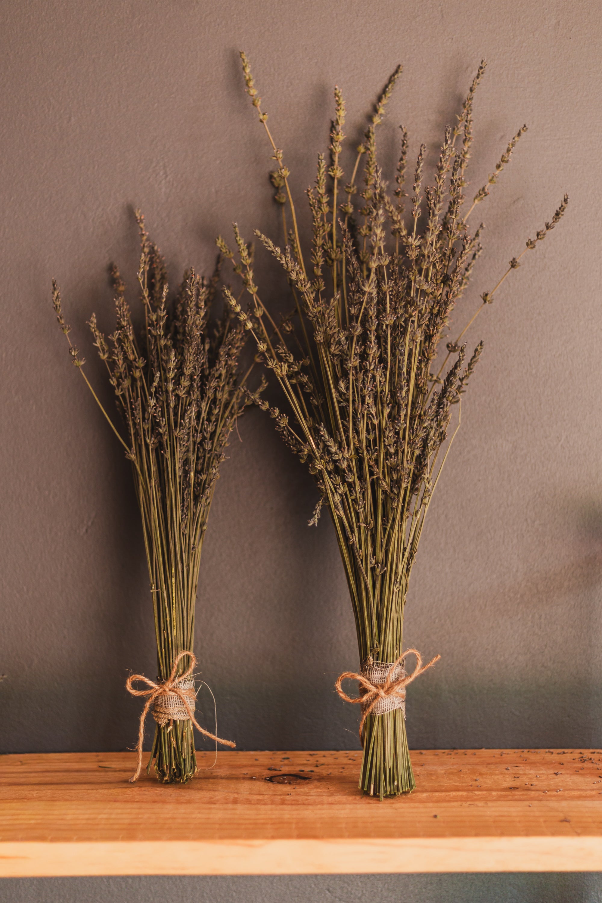 Fresh Lavender Bouguets